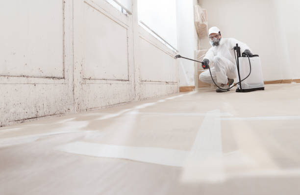 24/7 Emergency Mold Remediation experts in Lebanon, KY